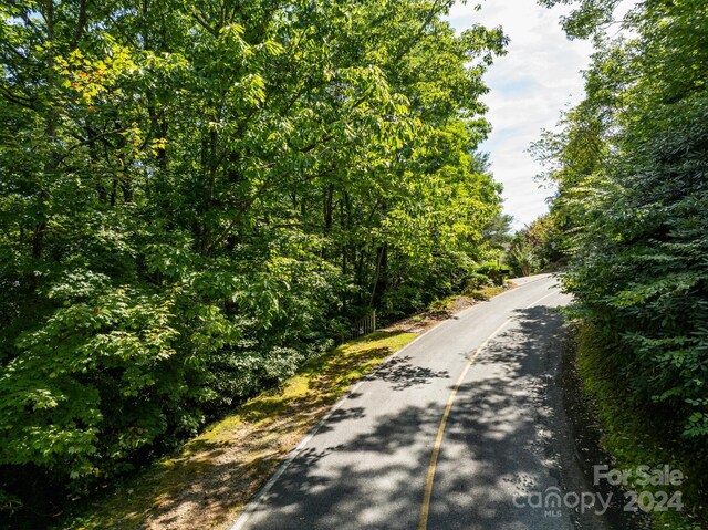 LOT25 Panther Mountain Rd Unit Cvn-Cvn-025, Zirconia, NC 28790 - photo 32