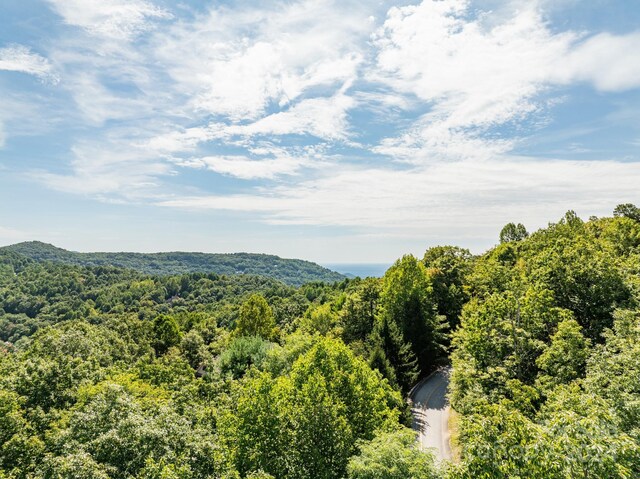 LOT25 Panther Mountain Rd Unit Cvn-Cvn-025, Zirconia, NC 28790 - photo 33