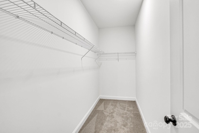 walk in closet featuring light colored carpet