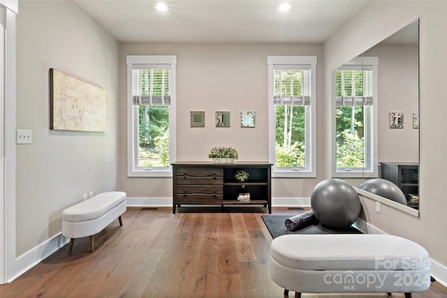 living area with a healthy amount of sunlight and hardwood / wood-style flooring