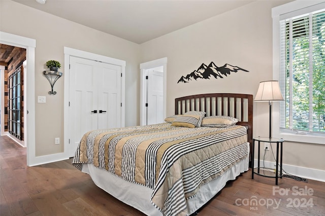 bedroom featuring a closet, multiple windows, and dark hardwood / wood-style floors