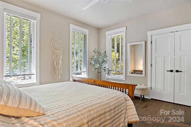 bedroom with dark wood-type flooring, ceiling fan, a closet, and multiple windows