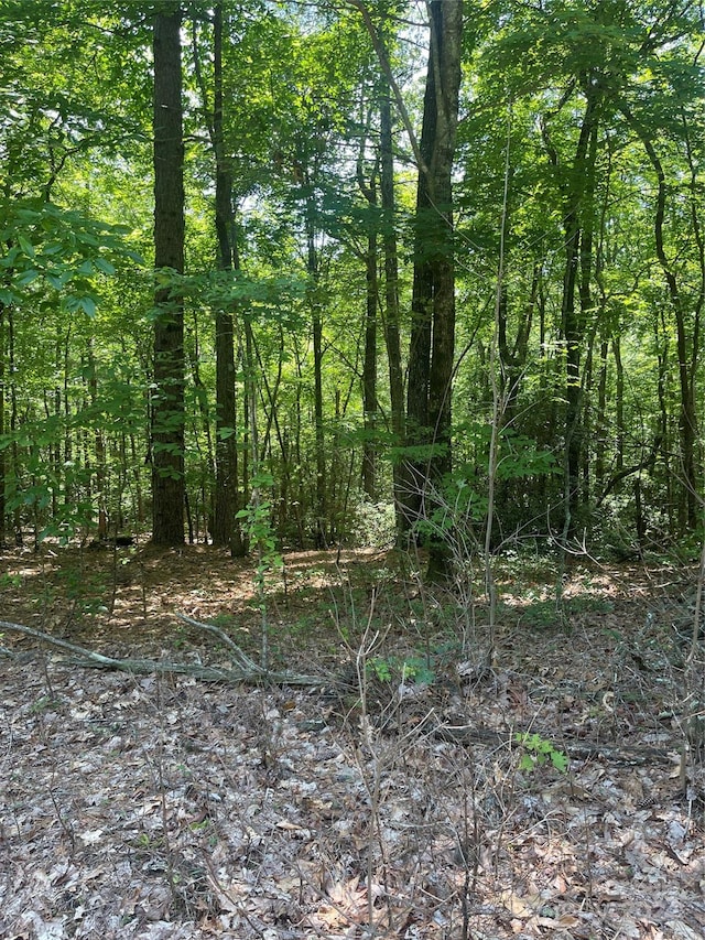 TBD Arrowhead Ridge Rd, Brevard NC, 28712 land for sale