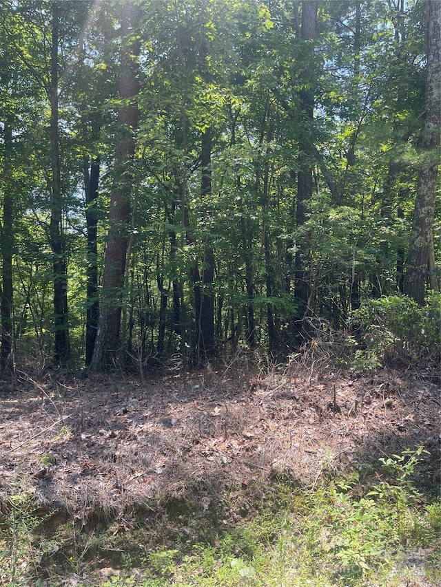 Listing photo 2 for TBD Arrowhead Ridge Rd, Brevard NC 28712