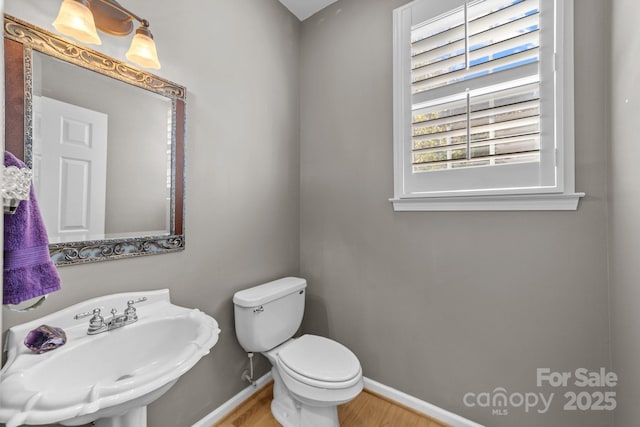 bathroom featuring hardwood / wood-style flooring, sink, and toilet