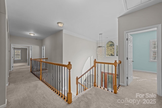 hall with light colored carpet and ornamental molding