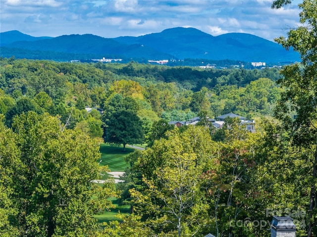 565 Walnut Valley Pkwy, Arden NC, 28704 land for sale