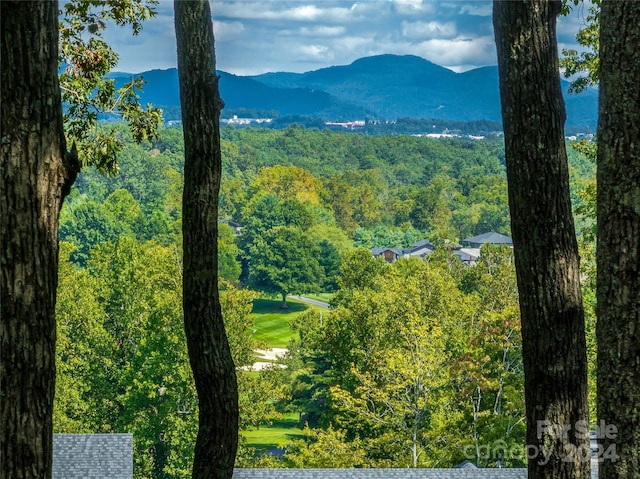 565 Walnut Valley Pkwy, Arden, NC 28704 - photo 2