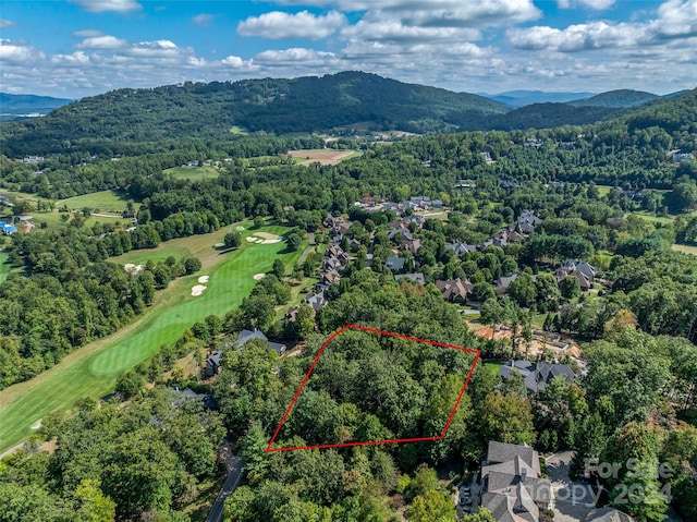 565 Walnut Valley Pkwy, Arden, NC 28704 - photo 3