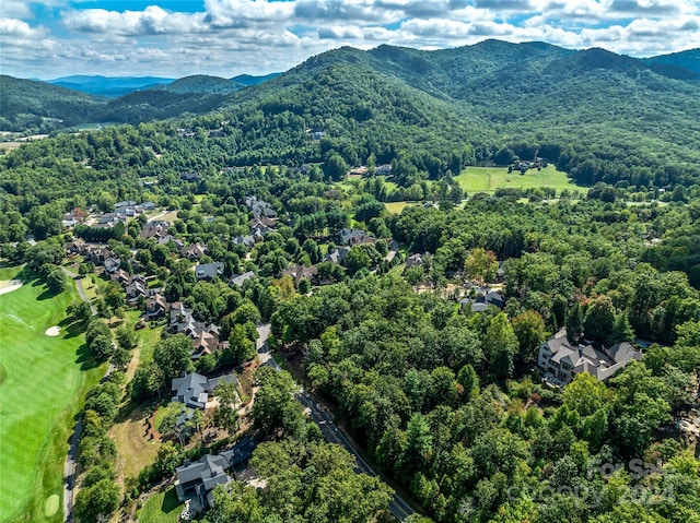 565 Walnut Valley Pkwy, Arden, NC 28704 - photo 4