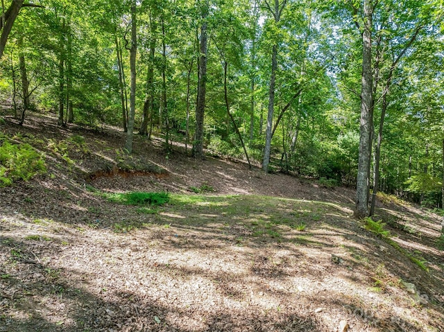 565 Walnut Valley Pkwy, Arden, NC 28704 - photo 6