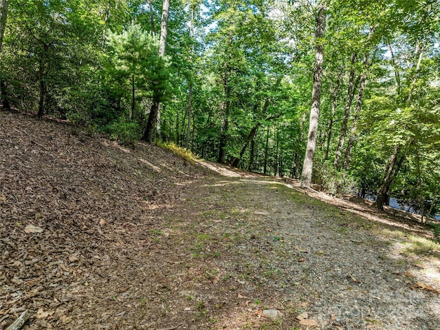 565 Walnut Valley Pkwy, Arden, NC 28704 - photo 7