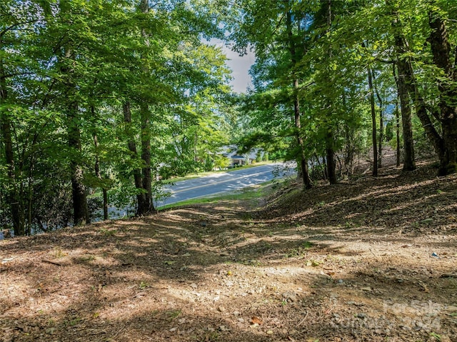 565 Walnut Valley Pkwy, Arden, NC 28704 - photo 8