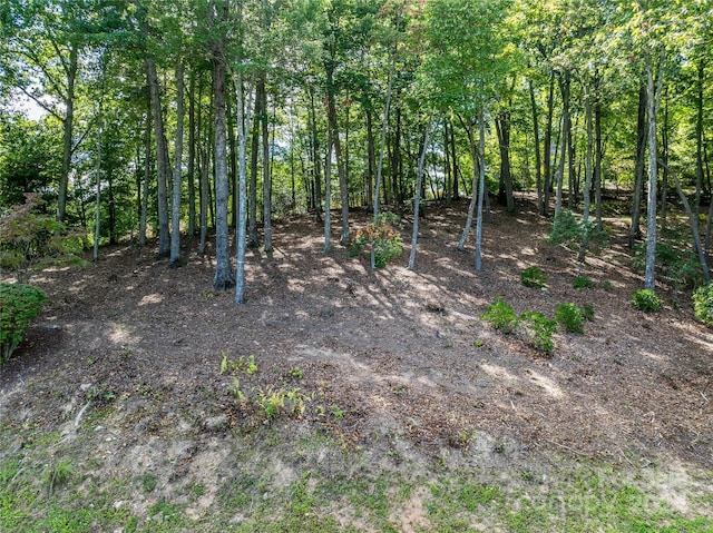 565 Walnut Valley Pkwy, Arden, NC 28704 - photo 10