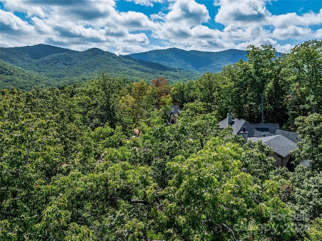 565 Walnut Valley Pkwy, Arden, NC 28704 - photo 13