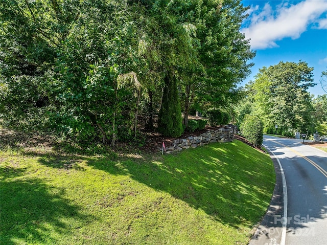 565 Walnut Valley Pkwy, Arden, NC 28704 - photo 15