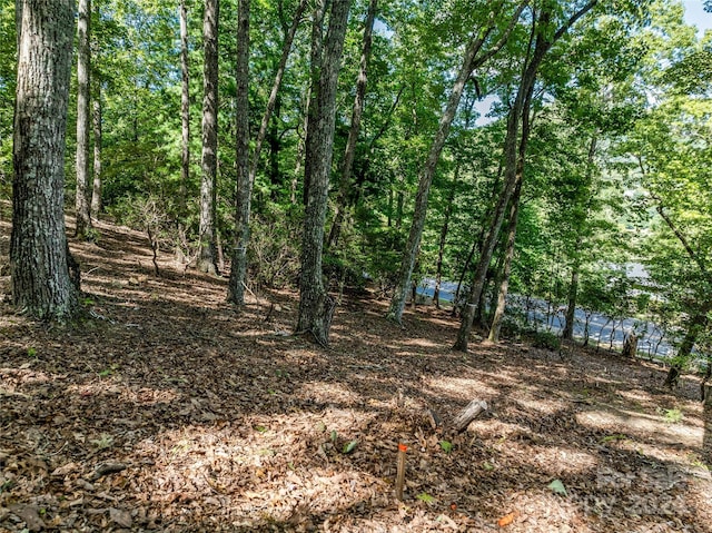 565 Walnut Valley Pkwy, Arden, NC 28704 - photo 16