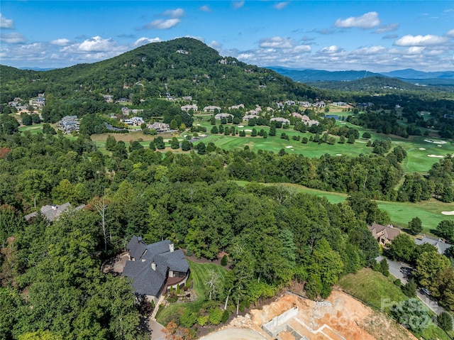 565 Walnut Valley Pkwy, Arden, NC 28704 - photo 17