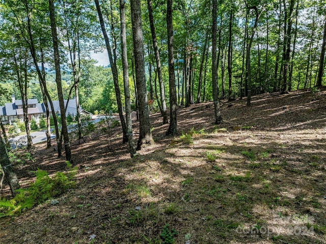 565 Walnut Valley Pkwy, Arden, NC 28704 - photo 18