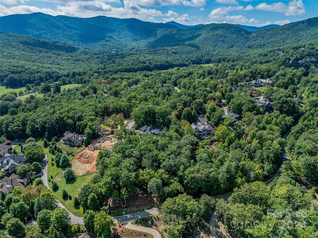 565 Walnut Valley Pkwy, Arden, NC 28704 - photo 21