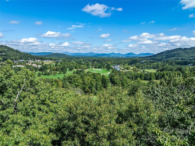 565 Walnut Valley Pkwy, Arden, NC 28704 - photo 22