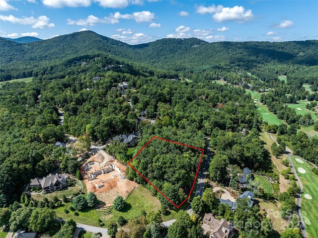 565 Walnut Valley Pkwy, Arden, NC 28704 - photo 23