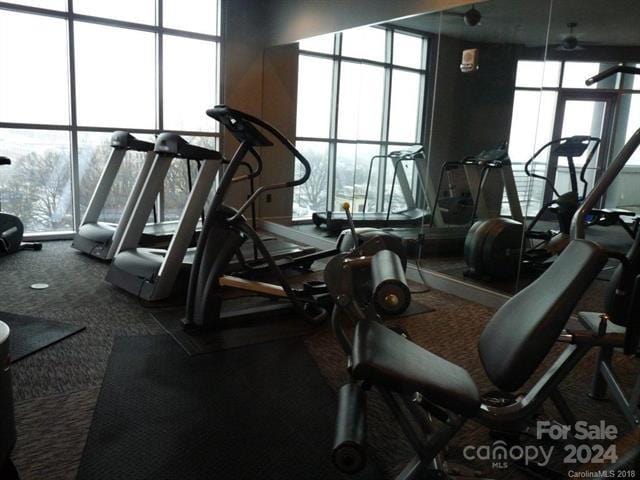 workout area featuring a wealth of natural light and expansive windows