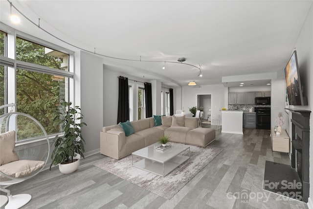 living room featuring light hardwood / wood-style flooring