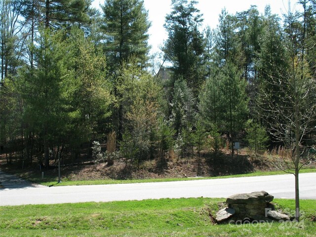 Listing photo 2 for 56 Ramble Way, Asheville NC 28803