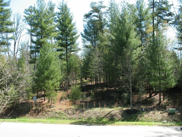 Listing photo 3 for 56 Ramble Way, Asheville NC 28803