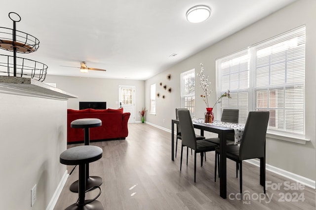 dining space with hardwood / wood-style flooring and ceiling fan