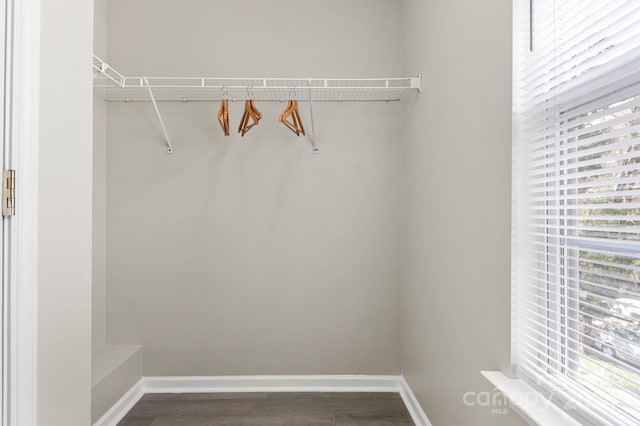 walk in closet featuring hardwood / wood-style flooring