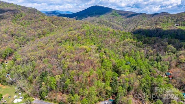 99999 Marlowe Rd, Fairview NC, 28730 land for sale