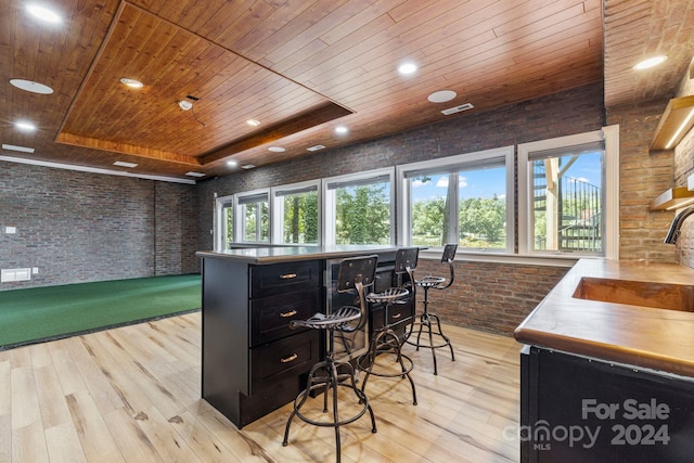 interior space featuring a raised ceiling, plenty of natural light, and wooden ceiling