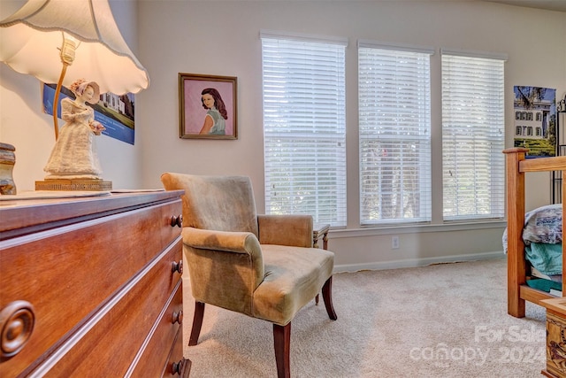 bedroom with light colored carpet