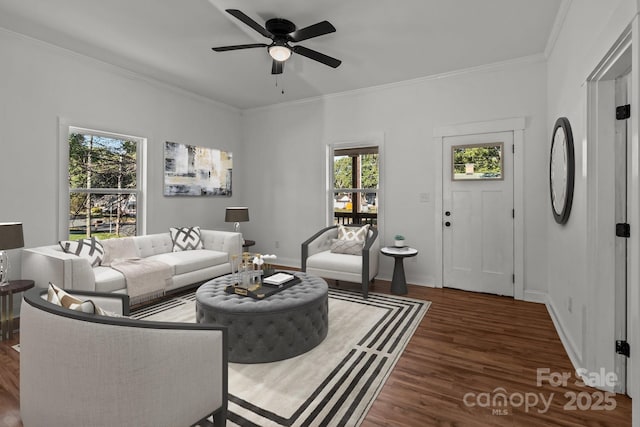 living room featuring dark hardwood / wood-style flooring, ceiling fan, and ornamental molding