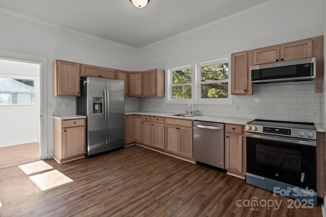 kitchen featuring sink, dark wood-type flooring, stainless steel appliances, backsplash, and ornamental molding