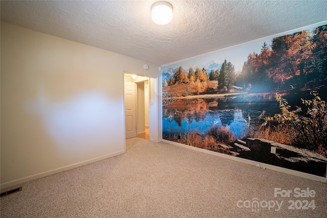 empty room with a textured ceiling and carpet floors