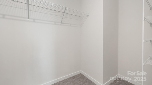 spacious closet with carpet