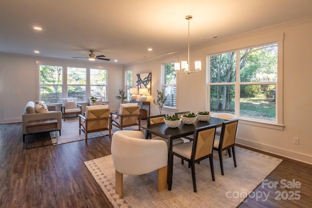 dining room featuring ceiling fan with notable chandelier, dark hardwood / wood-style flooring, ornamental molding, and a wealth of natural light