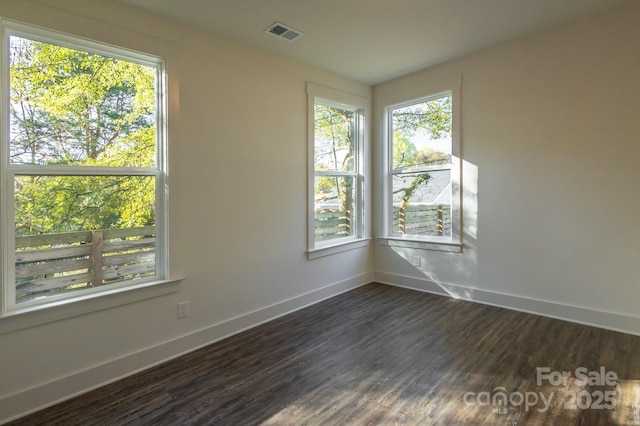 empty room featuring a wealth of natural light and dark hardwood / wood-style floors