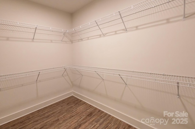 spacious closet featuring wood-type flooring