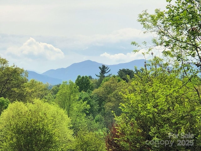 view of mountain feature