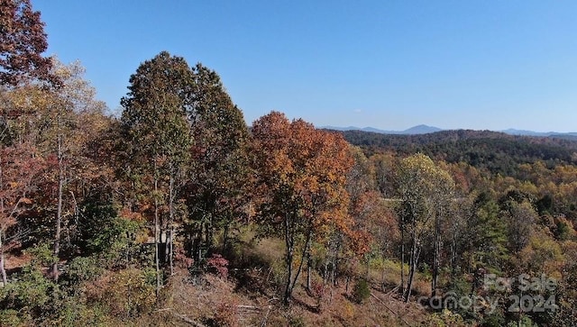 Listing photo 3 for LOT521 White Oak Way, Lenoir NC 28645