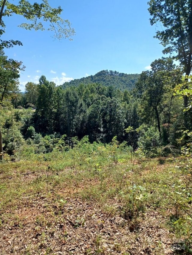 LOT516 White Oak Way, Lenoir NC, 28645 land for sale