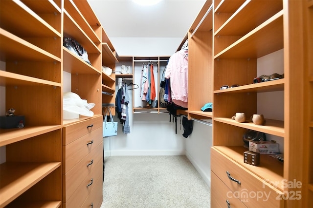 walk in closet with light carpet