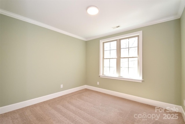 empty room featuring carpet floors and ornamental molding