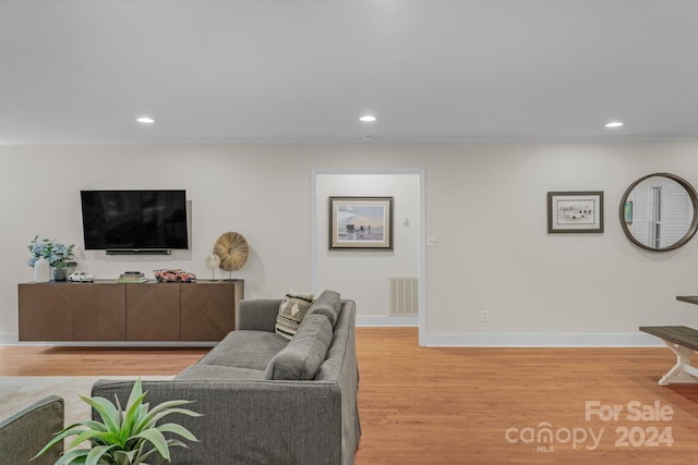 living room featuring light wood-type flooring