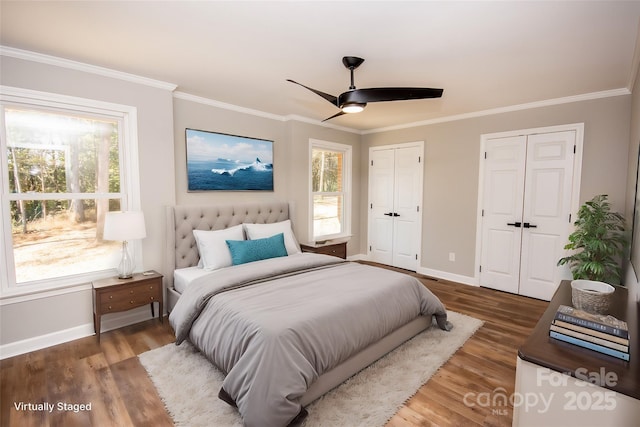 bedroom featuring ceiling fan, dark hardwood / wood-style floors, crown molding, and multiple closets