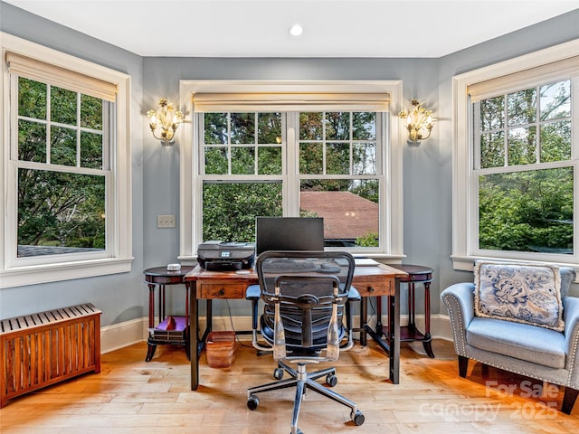 office space featuring light hardwood / wood-style floors and radiator heating unit